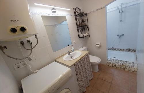 Ave Ibis eremita Vejer - Foto 7