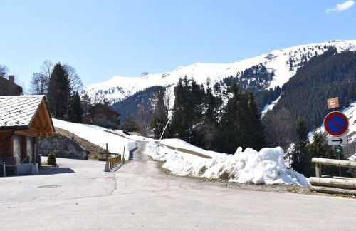 Appartement cosy avec cheminée, terrasse et parking, proche pistes et commerces - Méribel - FR-1-180-552 - Foto 18