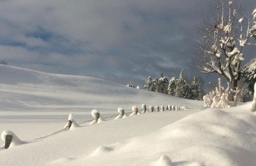 Ferienwohnung Heimatliebe - Photo 41