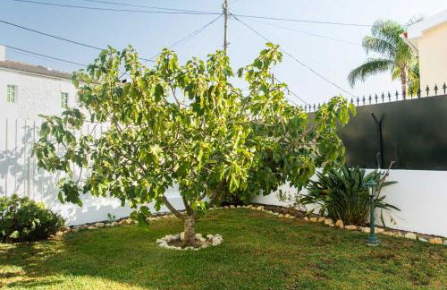 Casa da Quintinha - Villa with a pool - Foto 39