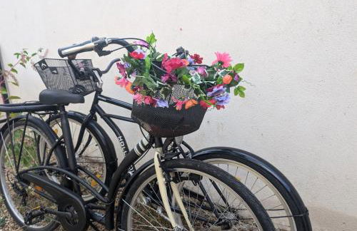 Maison de marinier les pieds dans l'eau face à la Loire - Photo 19