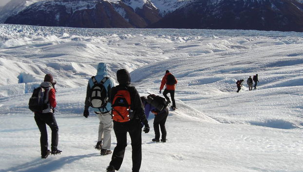 Glaciers National Park and Catamaran Trip on the Rico Arm - Small Group Tour - Photo 5