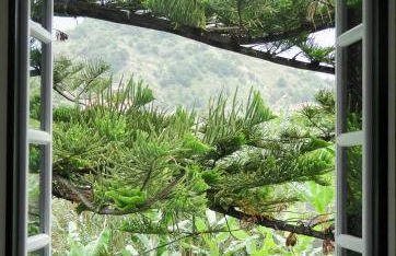 Casa Oliveira Esmeraldo - Guest Houses - Foto 25