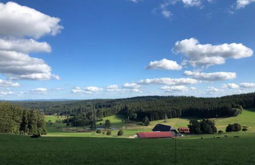 Ferienwohnung am Schneeberg - Foto 8