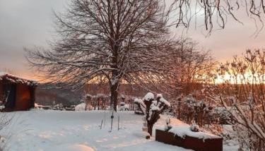 Kuckucksnest - Ferienwohnung Welschneudorf - Foto 2