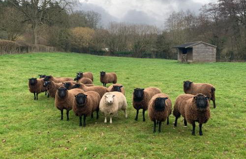 Little Norton Mill - Photo 83