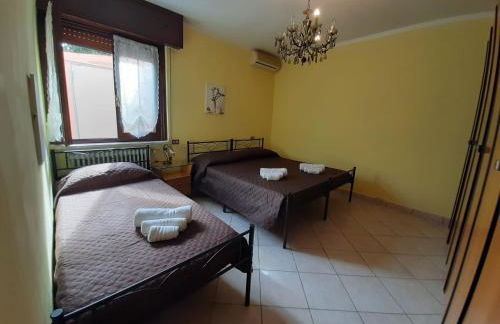 Sleeping Beauty - Foto 14