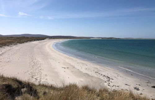 Taigh Violet Rose - Foto 12