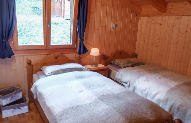 Ecureuil noir - Foto 18