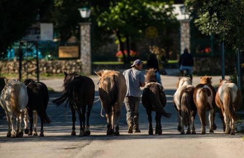 Agriturismo Maneggio Vallecupa - Foto 10