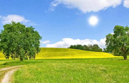 Cozy Home In Krems Iiwarderbrück - Foto 28