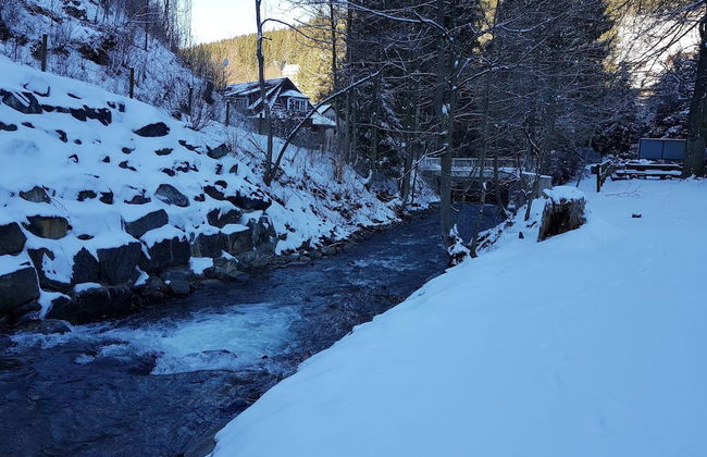 Alpine Escape in Wildemann - Foto 31