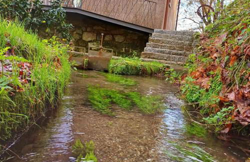 Moinhos Carvalhas - Foto 30