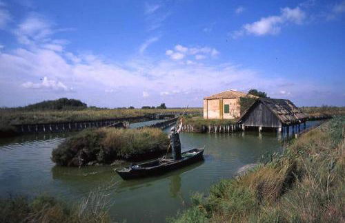 Nettuno 137D - Photo 31