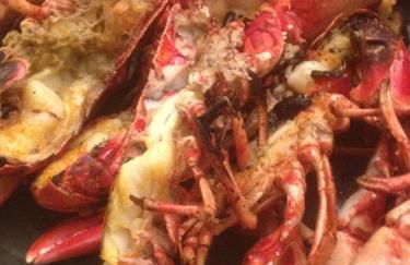 Studio les Trois Etoiles de Mer - Photo 31