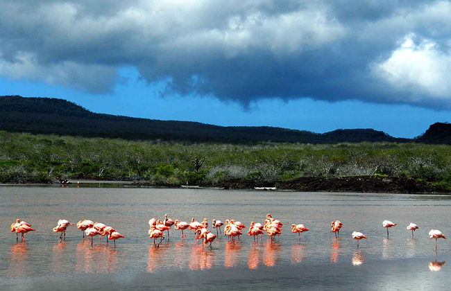 Floreana Full-Day Tour - from Santa Cruz - Photo 3