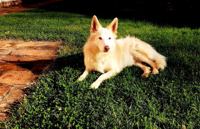 Agriturismo Il Corniolo - Photo 61