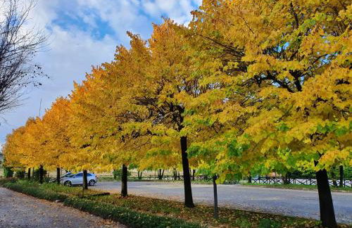 La Locanda dei Golosi - Foto 44