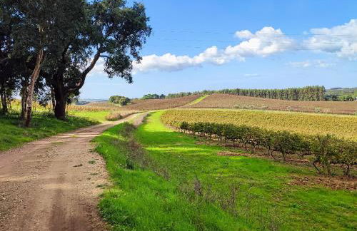 Historic Vineyard Retreat - 1785 Country Cottage in Peral - Foto 97