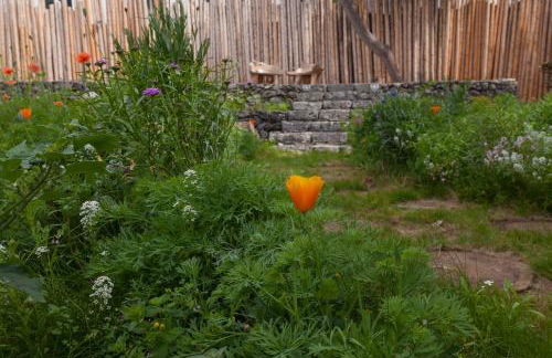 Graviana - Pedra Azul Charming House - Photo 30