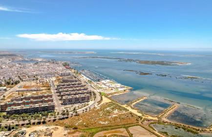 Caroline Du Sul - Foto 29