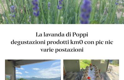 La lavanda di Poppi-mini appartamento - Foto 48