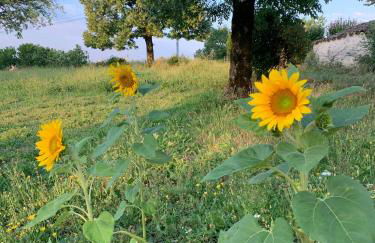 Gîte La Vésarnie - Foto 64