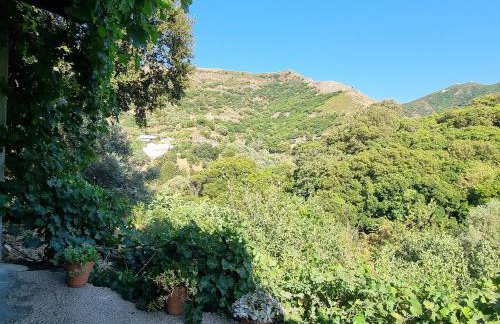 Mesavlia Traditional Stone House - Photo 35