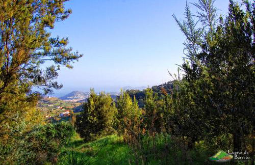 Cuevas De Barreto - Foto 52