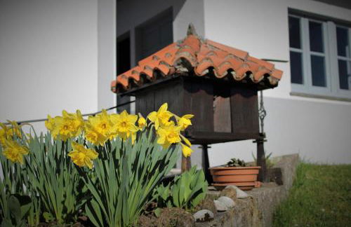 CASA AMABLE - Foto 25