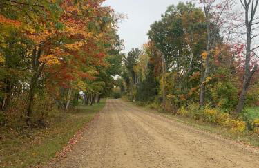 Not-so-tiny, Tranquil, Pond front Bungalow - Foto 7