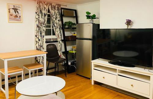 Beacon Hill Vintage Studio Near MGH and Downtown - Photo 12