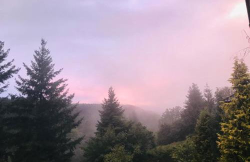 Haus Jenni im Schwarzwald, 3,5-Zimmer, große Terrasse - Foto 58