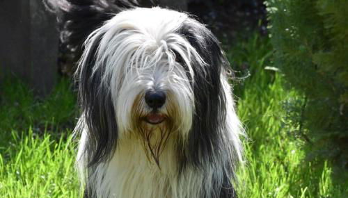 Heimat Floral Ferienwohnung - Foto 3