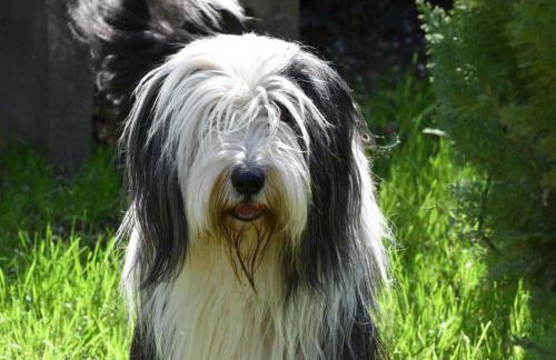 Heimat Floral Ferienwohnung - Foto 3