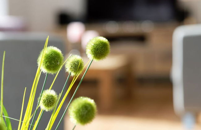 Holiday Home Traumhuus - Foto 16