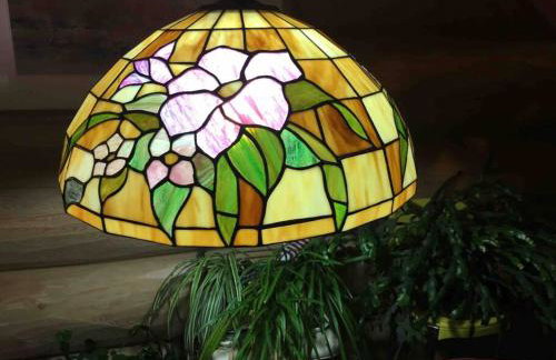 Turnagain View Lodge and Wedding Venue - Photo 37