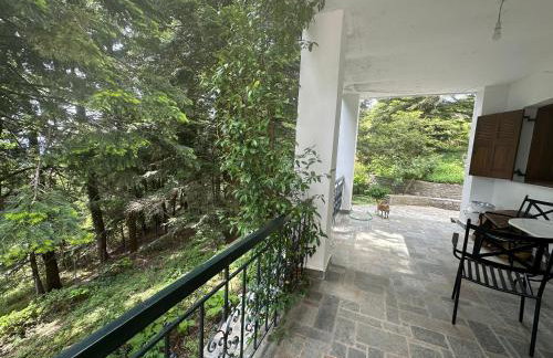 Forest cottage top of the world - Foto 22