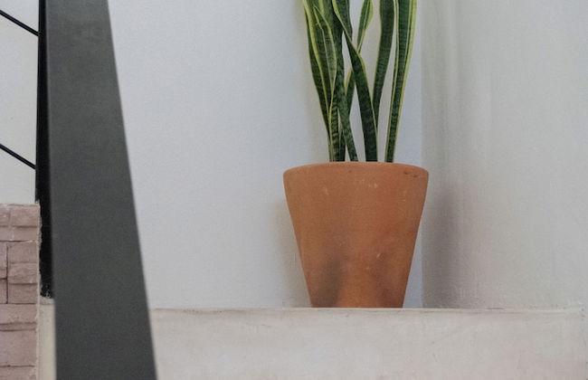 Akasha Villas Tulum - Photo 50