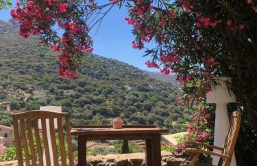 1722 Cosy Home Corbara - Foto 1