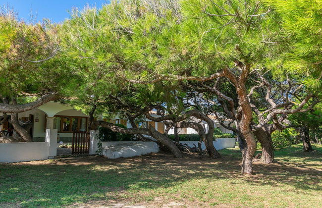 Villa Franciscus in Mallorca - Foto 4