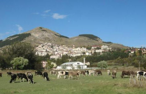 Come a casa - Foto 10