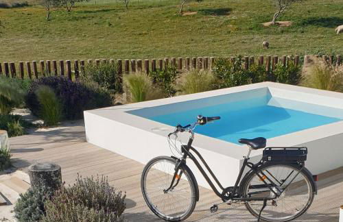 Casa Calmar - Foto 5