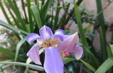 Casa da Ana - Foto 49