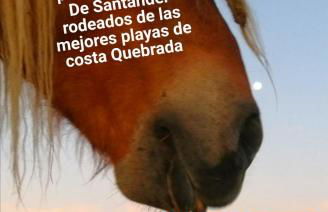 Somonte Costa - Foto 40