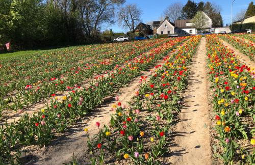 PentArtHouse - Foto 75