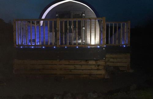 Dalrigh Pod - Photo 40