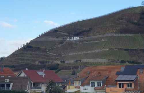Ferienwohnung in Durbach- Urlaub am Weinberg - Foto 24