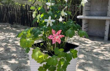 Skorzęcin Przytulny Zakątek - Foto 16