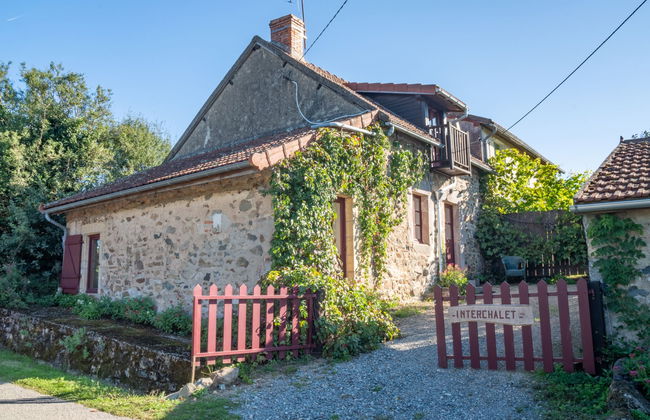 Marguerite - Photo 18